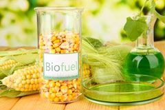 Reed biofuel availability