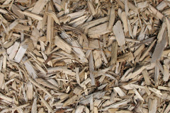 biomass boilers Reed